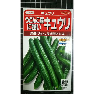 ���ǂ񂱕a�ɋ��� �L���E�� �L���[�� �ӉZ �� ��q �T�J�^�̃^�l