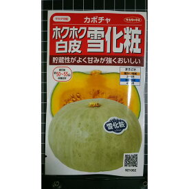 白皮 カボチャ ホクホク 雪化粧 白 南瓜 種 種子 サカタのタネ