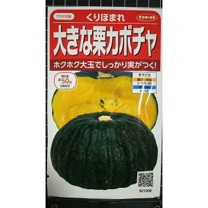 �傫�� �I �J�{�`�� ����ق܂� ��Z �� ��q �T�J�^�̃^�l