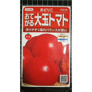 ��� �g�}�g ���ǂ肱 ���Ă��� �� ��q �T�J�^�̃^�l