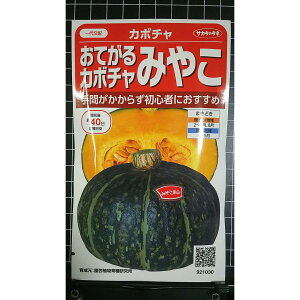 ���Ă��� �J�{�`�� �݂₱ ��Z �� ��q �T�J�^�̃^�l