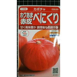 �z�N���� �Ԕ� �J�{�`�� �ׂɂ��� ��Z �� ��q �T�J�^�̃^�l