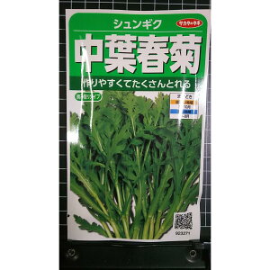 ���t �t�e �L�N�i �V�����M�N �� ��q �T�J�^�̃^�l