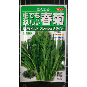 ���ł��������� �t�e �����܂� �T���_ �L�N�i �V�����M�N �� ��q �T�J�^�̃^�l