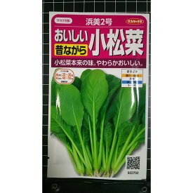 小松菜 おいしい 昔ながら 浜美2号 コマツナ種 種子 サカタのタネ