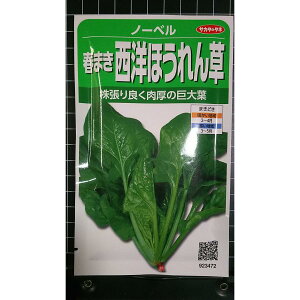 ���m �ق���� �m�[�x�� �t�܂� �z�E�����\�E �� ��q �T�J�^�̃^�l