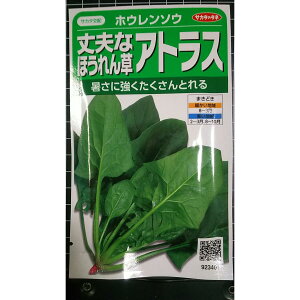 �A�g���X �ق���� ��v �z�E�����\�E �� ��q �T�J�^�̃^�l