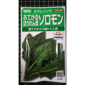 ���Ă��� �\������ �ق���� �z�E�����\�E �� ��q �T�J�^�̃^�l