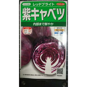 ���L���x�c ���b�h�u���C�g �� ��q �T�J�^�̃^�l