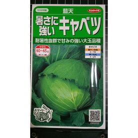 暑さに強い キャベツ 藍天 種 種子 サカタのタネ