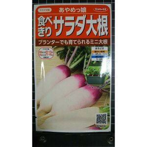 �T���_ �~�j �_�C�R�� ����߂��� �� ��q �T�J�^�̃^�l