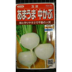 ���܂��� �� ���� �ʔg ������ �J�u �� ��q �T�J�^�̃^�l