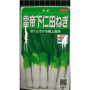 ���� ���m�c �˂� �V���j�^ �l�M �K ��q �T�J�^�̃^�l