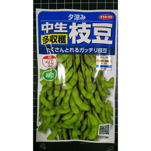 ���� �����n �}�� �[���� �G�_�}�� �� ��q �T�J�^�̃^�l