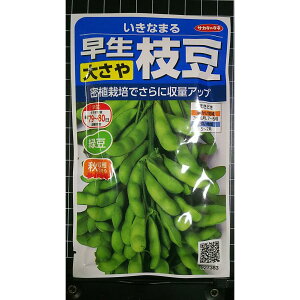 ���� �傳�� �}�� �����Ȃ܂� �G�_�}�� �� ��q �T�J�^�̃^�l