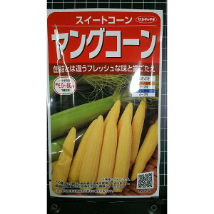 �����O�R�[�� �X�C�[�g �R�[�� �g�E�����R�V �� ��q �T�J�^�̃^�l