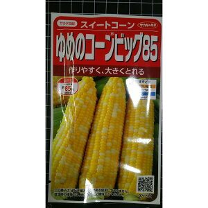 ��߂� �R�[�� �r�b�O 85 �g�E�����R�V �� ��q �T�J�^�̃^�l