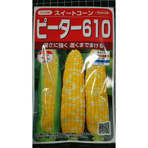 �s�[�^�[ 610 �X�C�[�g �R�[�� �g�E�����R�V �� ��q �T�J�^�̃^�l