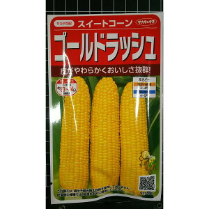 �S�[���h���b�V�� �R�[�� �g�E�����R�V �� ��q �T�J�^�̃^�l