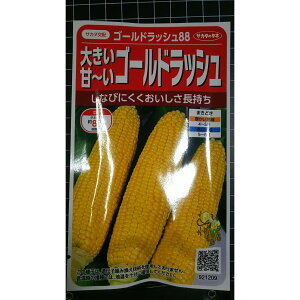 �S�[���h���b�V��88 �傫�� �Â� �R�[�� �g�E�����R�V �� ��q �T�J�^�̃^�l