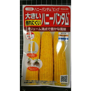 �n�j�[ �o���^�� �r�b�O �|��ɂ��� �R�[�� �g�E�����R�V �� ��q �T�J�^�̃^�l