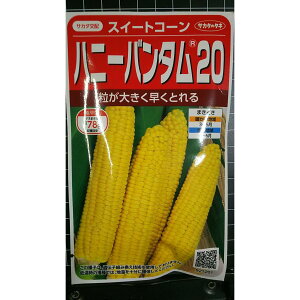 �n�j�[ �o���^�� 20 �X�C�[�g �R�[�� �g�E�����R�V �� ��q �T�J�^�̃^�l