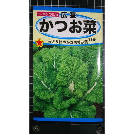 広茎 かつお菜 かつおな ちぢみ 種 種 種子 トーホク