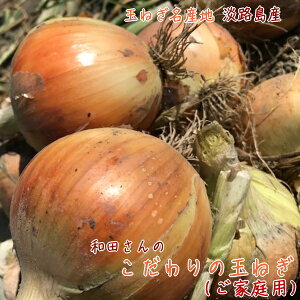 yGg[Ń|Cg10{zac ƒp 킯 ʂ˂ 2kg`10kg܂łD݂̓eʂI\_ WH 󂠂 ʔK ^}lM ʃlM Yn lC   Ɍ 