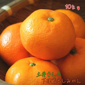 【先行予約 2026年1月中旬以降】土井さんのまろやか しもつ 蔵出しみかん 10kg_ 果物 フルーツ ギフト 農家直送 産地直送 人気 美味しい 和歌山 和歌山県 下津 送料無料 貯蔵 ギフト