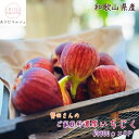 【先行予約 8月上旬以降】勢田さんの ご家庭用 濃厚 完熟 無花果 (いちじく) 約1.2kg（約300g×4パック）_ 訳あり 和…