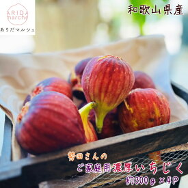 【先行予約 8月上旬以降】勢田さんの ご家庭用 濃厚 完熟 無花果 (いちじく) 約1.2kg（約300g×4パック）_ 訳あり 和歌山ブランド わけあり 農家直送 産地直送 人気 美味しい イチジク 和歌山県 送料無料