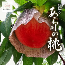 楽天市場】日川白鳳（桃｜フルーツ・果物）：食品の通販