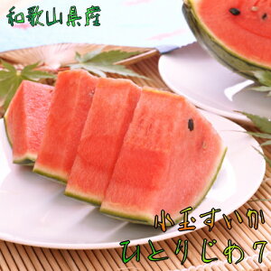 yGg[Ń|Cg10{zys\ 2026N6{ȍ~zI   wЂƂ肶7iZujx Gi 1ʓ_ XCJ Z Mtg _ƒ Yn lC  a̎R ǎ