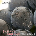【先行予約 8月上旬以降】【農家直送】久保田さんの ブラックビート 約1.2kg　【送料無料】【山梨県産】