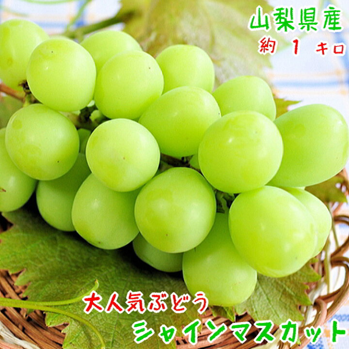 楽天市場】【先行予約 8月下旬以降】久保田さんの濃厚シャインマスカット 約1kg 【送料無料】【山梨県産】 : おいしいをお届け!ありだマルシェ 楽天市場】【先行予約 8月下旬以降】久保田さんの濃厚シャインマスカット 約1kg 【送料無料】【山梨県産】 : おいしいをお届け!ありだマルシェ