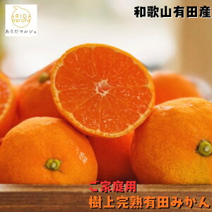 【先行予約 9月中旬以降】完熟 有田みかん (ご家庭用) 2kg〜10kgまでお好みの内容量が選択可能_ 果物 フルーツ 農家直送 産地直送 人気 美味しい 和歌山 和歌山県 送料無料 訳あり わけあり