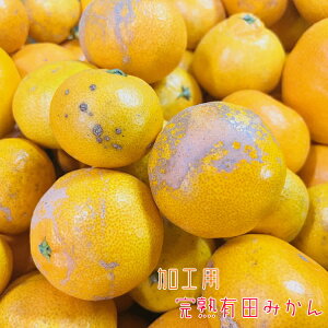 _ƒIIBa̎RLĉ󂠂HpnLc݂@10kgy󂠂zy킯zyz