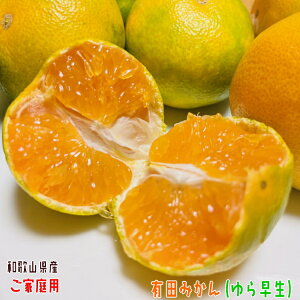 ys\ 10{ȍ~z瑁 Lc ݂ GD (ƒp) 2kg_ ʕ t[c 󂠂 킯 _ƒ Yn lC  a̎R ǎ 