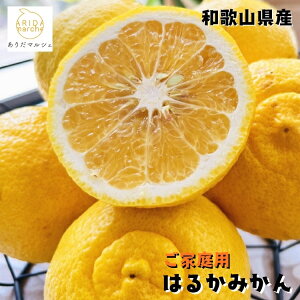 ys\ 2026N1{ȍ~zƒp n ͂邩 ݂ 2kg`10kg܂łD݂̓eʂI\_ ʕ t[c _ƒ Yn lC  a̎R a̎R  󂠂 킯