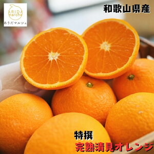 ys\ 2026N2{ȍ~z n  IW 2kg`10kg܂łD݂̓eʂI\_ ʕ t[c _ƒ Yn lC  a̎R a̎R  󂠂 킯 