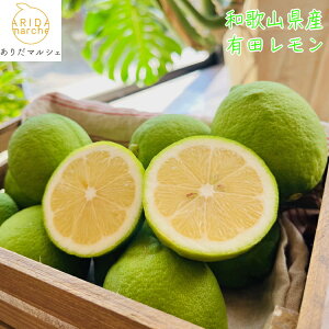 I a̎R Lc  1kg`10kg܂łD݂̓eʂI\_ h܁EbNXsgp EG lemon ʕ t[c Mtg _ƒ Yn lC  a̎R a̎R  Ε