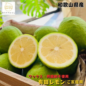 a̎R Lc  (ƒp) 1`10kg܂łD݂̓eʂI\_ bNXEhܕsgp EG lemon ʕ t[c _ƒ Yn lC  a̎R  󂠂 킯 