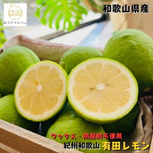 厳選 和歌山 有田 レモン 1kg〜10kgまでお好みの内容量が選択可能_ 防腐剤・ワックス不使用 檸檬 lemon 果物 フルーツ ギフト 農家直送 産地直送 人気 美味しい 和歌山 和歌山県 送料無料 お歳暮