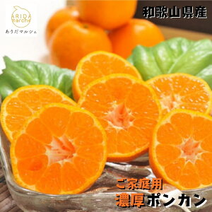 ys\ 2026N1{ȍ~zƒp Z |J 2kg`10kg܂łD݂̓eʂI\_ ʕ t[c _ƒ Yn lC  a̎R a̎R  󂠂 킯 