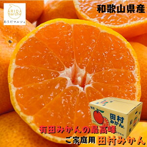 【先行予約 11月下旬以降】 和歌山プレミアムブランドみかん 田村 みかん ご家庭用 5kg〜10kgまでお好みの内容量が選択可能_ 訳あり 果物 フルーツ 農家直送 産地直送 人気 美味しい 和歌山 和