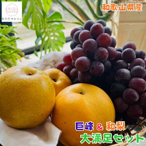 ys\ 2026N8{ȍ~zX Z  Ə{  喞Zbg v 4kg _ Lc Mtg _ƒ Yn a L 쐅 lC  Ԃǂ  t[c lߍ킹