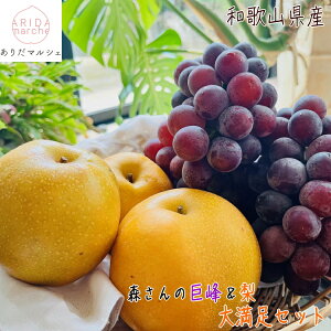 yGg[Ń|Cg10{zX Z  Ə{  喞Zbg v 4kg _ Lc Mtg _ƒ Yn a L 쐅 lC  Ԃǂ  t[c lߍ킹 