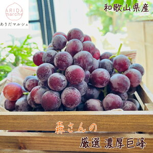 yGg[Ń|Cg10{zX Z  2kg_ Lc Mtg _ƒ Yn lC  Ԃǂ  t[c a̎R a̎R 