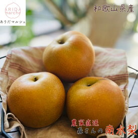 【先行予約 9月中旬以降】森さんの 濃厚 南水 梨 約4.5kg_ 有田巨峰村 ギフト 農家直送 産地直送 和梨 人気 美味しい なしフルーツ 和歌山 和歌県 送料無料