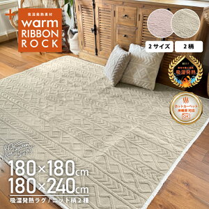 ラグ マット カーペット 吸湿 発熱 機能 省エネ エコ eco 洗える 180×180 180×240 2畳 3畳 正方形 長方形 ホットカーペット 対応 床暖房対応 冬 暖かい リビング 【hwg】